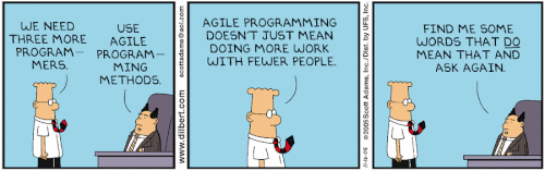 To Agile or ‘Not Too Agile’