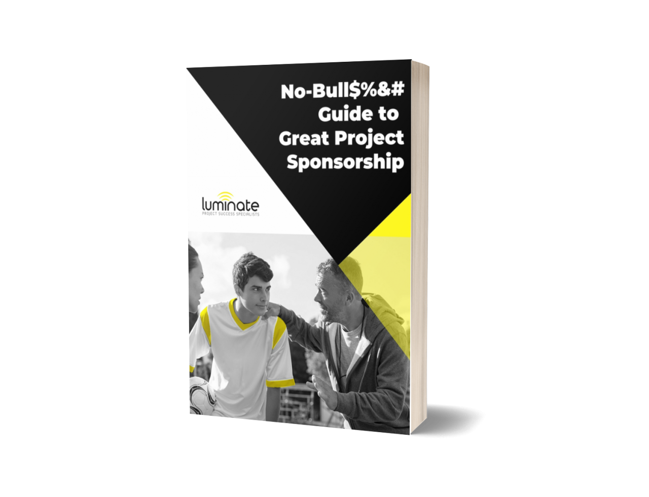 NoBull& Guide to Great Project Sponsorship Luminate